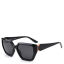 Очки солнцезащитные DN948-001 DONNA