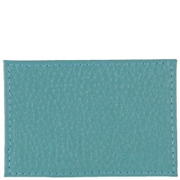 Футляр для карт Sharpey мята/фл