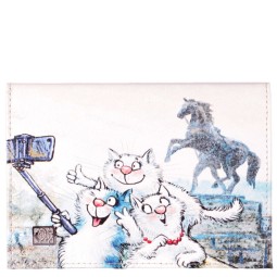 Обложка на паспорт Sharpey G-006-216 