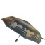 Зонт женский 3 Cлона L3100-1 (310)