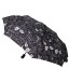 Зонт женский Zemsa 112158 комикс