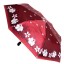 Зонт женский Zemsa 112148 крас/бел.цв