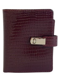 Кошелек женский Вектор ПЖ-470-3231 борд.