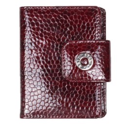 Визитница Stampa Brio 460-1384 15.06 Burg