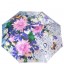 Зонт FJ 231212 Пробуждение цветы
