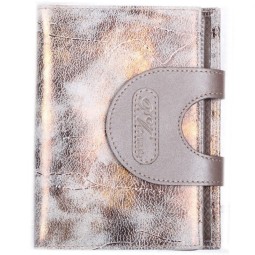 Бумажник водителя Paolo Veronese  BV-12-NK035 Gretta Grey