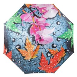 Зонт FJ 231223 орхидея, листья