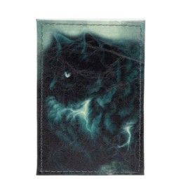 Футляр для карт Sima 7096938 Кот черный 