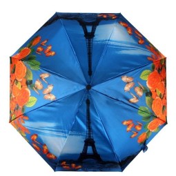 Зонт Flioraj 231218 Эйфелева башня