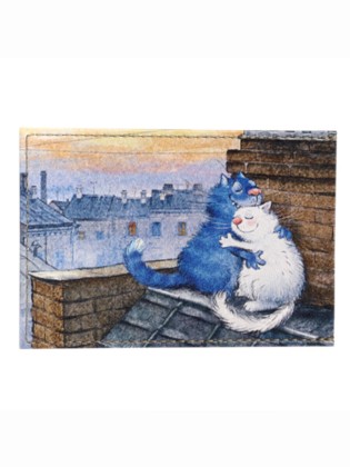 Футляр для карт Sharpey 315-324