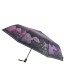 Зонт женский 3 Cлона L3100-3 (310)