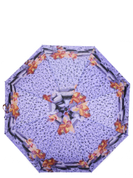 Зонт Zemsa 112203 сирень/орхидеи