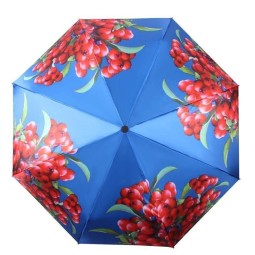 Зонт Flioraj 190212 Рябина красная