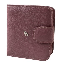 Кошелек ДАНДИ 291-08 бальзам