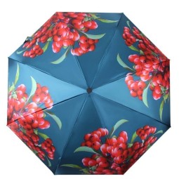 Зонт Flioraj 190211 Рябина красная