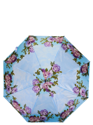 Зонт Zemsa 113115 гол/розы
