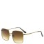 Очки солнцезащитные Tropical 4950 Gold/Brn