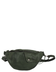 Cумка на пояс Bear CP1565 green