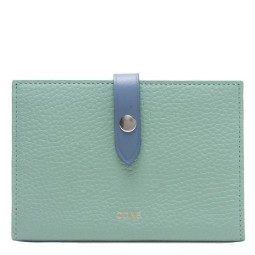 Обложка для паспорта COINS POLETTA OP01-FK4451 мята/гол